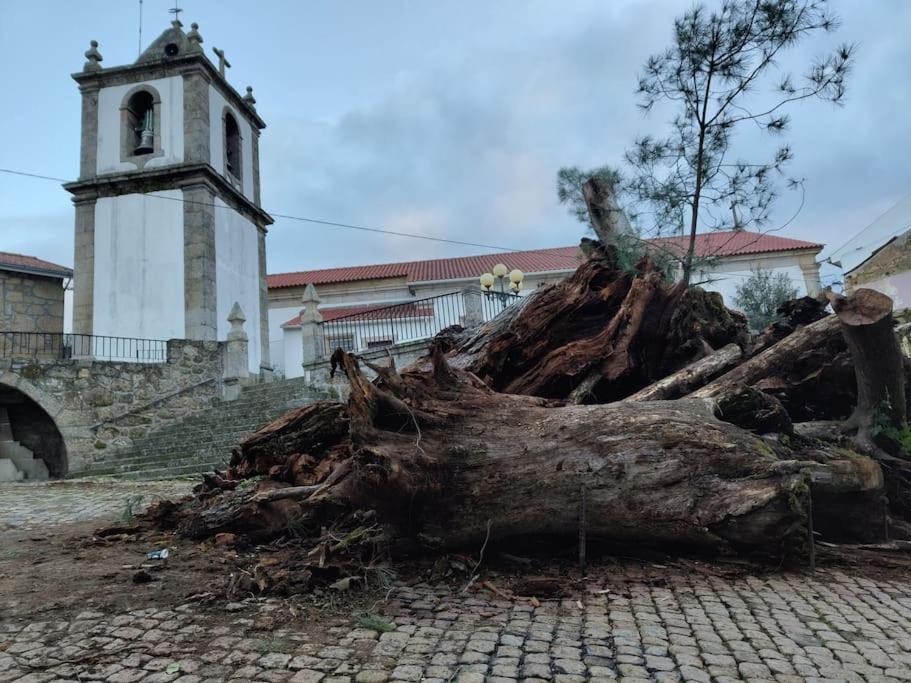 Casa Angulosa 科维良 外观 照片